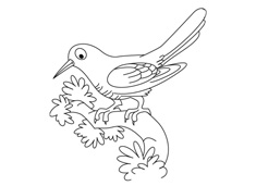 一只站在樹枝上的布谷鳥簡筆畫圖片